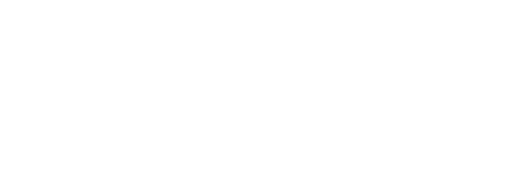 Toyo Tires logo